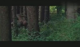 花哥农村生活爆料视频,田园风光下的真实生活点滴